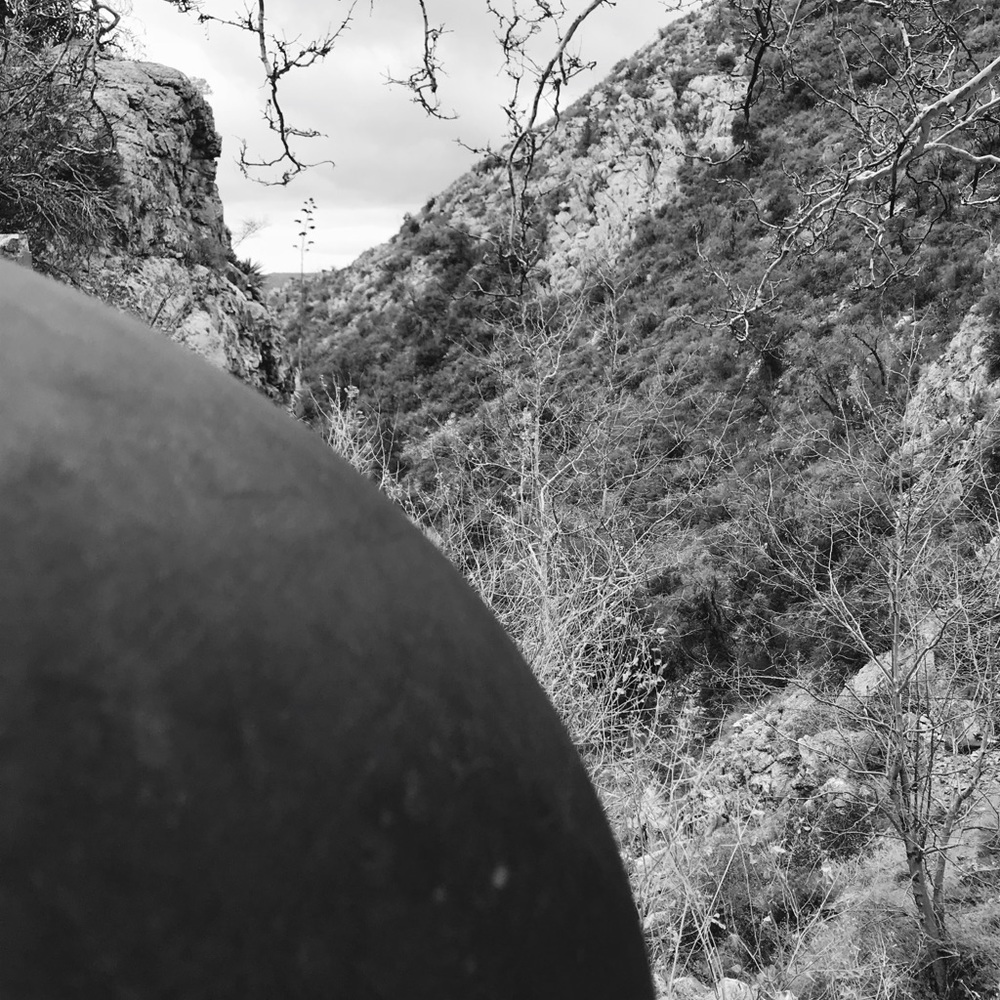 Meet your Posher, Cole